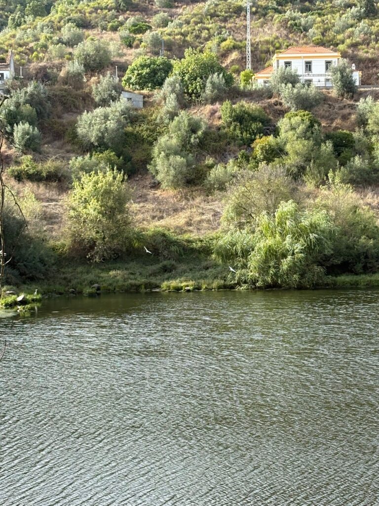 Image23