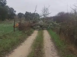 Temporal provoca danos significativos na Amieira do Tejo 9 622373646_1365004672334123_7610017176846083149_n