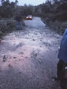 Temporal provoca danos significativos na Amieira do Tejo 8 622647161_1365003529000904_7140368479562826553_n
