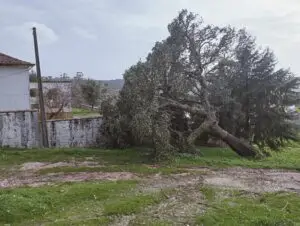 Temporal provoca danos significativos na Amieira do Tejo 7 622764358_1365000442334546_4789342386719271047_n