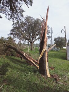Temporal provoca danos significativos na Amieira do Tejo 6 624309733_1365000495667874_3745723121504664332_n