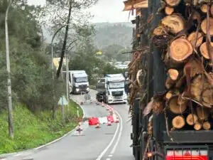 Temporal provoca danos significativos na Amieira do Tejo 4 627493994_122304439022209352_3821153758127056342_n