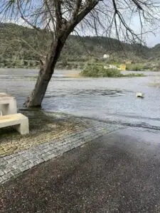 Temporal provoca danos significativos na Amieira do Tejo 3 627761481_1485804926885012_8694711854368720580_n