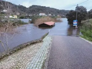 Temporal provoca danos significativos na Amieira do Tejo 1 WhatsApp Image 2026-02-05 at 14.54.50